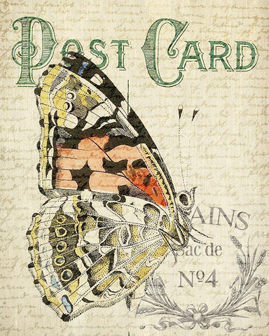 Postcard Butterfly 1 Black Ornate Wood Framed Art Print with Double Matting by Allen, Kimberly