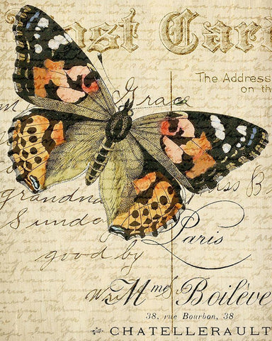 Postcard Butterfly 2 Black Ornate Wood Framed Art Print with Double Matting by Allen, Kimberly