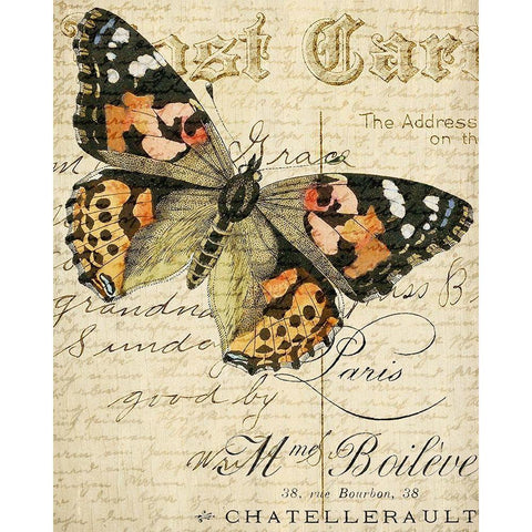 Postcard Butterfly 2 Black Modern Wood Framed Art Print with Double Matting by Allen, Kimberly