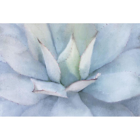 Serene Succulent Black Modern Wood Framed Art Print by Allen, Kimberly