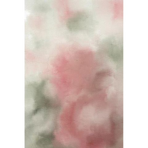 Roses in Bloom Black Modern Wood Framed Art Print with Double Matting by Kimberly, Allen