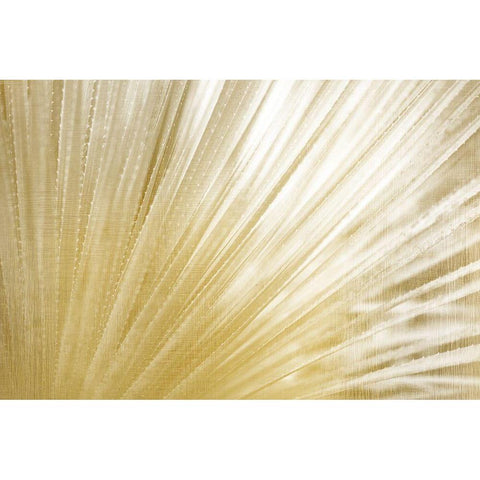 Golden Succulent White Modern Wood Framed Art Print by Kimberly, Allen