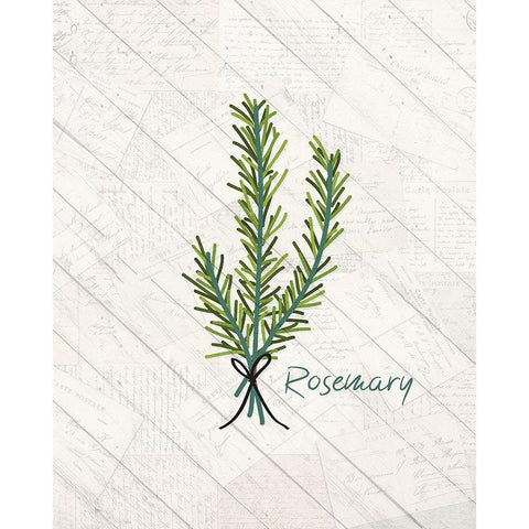 Fresh Herbs 1 White Modern Wood Framed Art Print by Kimberly, Allen