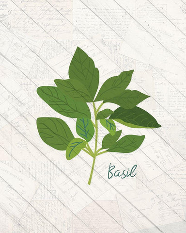 Fresh Herbs 3 Black Ornate Wood Framed Art Print with Double Matting by Kimberly, Allen