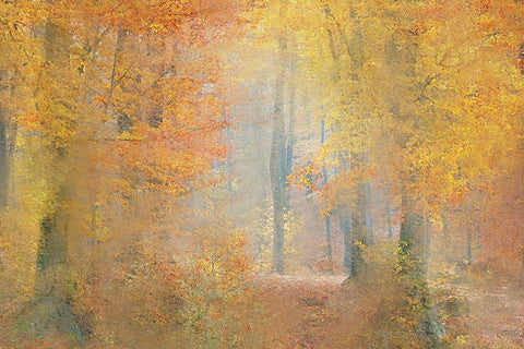 Colors of Autumn Black Ornate Wood Framed Art Print with Double Matting by Kimberly, Allen