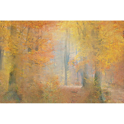 Colors of Autumn Black Modern Wood Framed Art Print by Kimberly, Allen