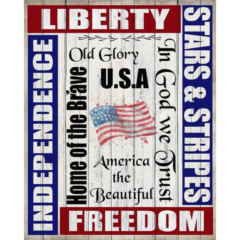 Freedom White Modern Wood Framed Art Print by Kimberly, Allen