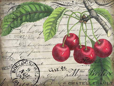 Vintage Cherries White Modern Wood Framed Art Print with Double Matting by Kimberly, Allen