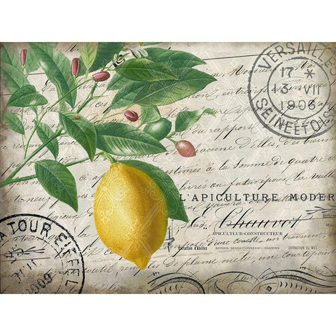 Vintage Lemon Gold Ornate Wood Framed Art Print with Double Matting by Kimberly, Allen