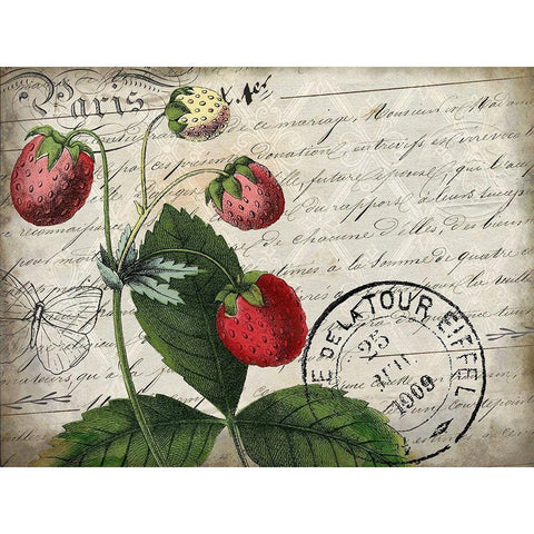 Vintage Strawberry Black Modern Wood Framed Art Print with Double Matting by Kimberly, Allen