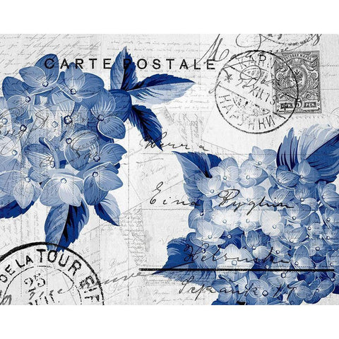 Postcard Hydrangea 4 Black Modern Wood Framed Art Print by Kimberly, Allen