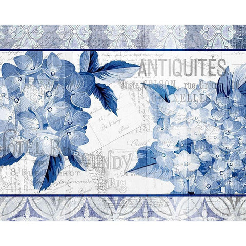 Hydrangea 1 Black Modern Wood Framed Art Print by Kimberly, Allen