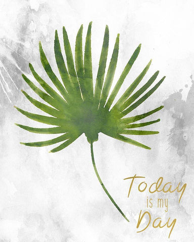 Today is My Day White Modern Wood Framed Art Print with Double Matting by Kimberly, Allen