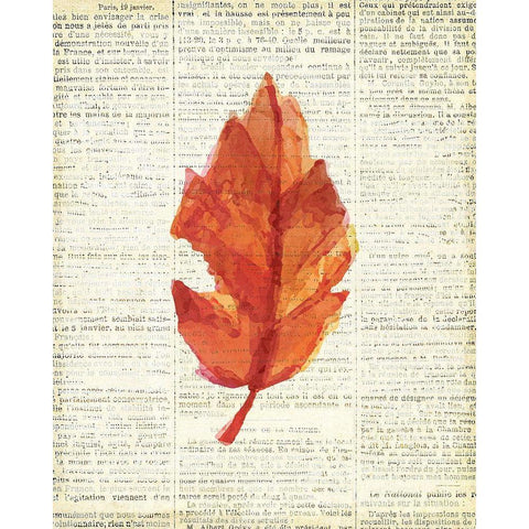 In the Fall 2  White Modern Wood Framed Art Print by Kimberly, Allen