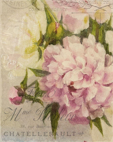 Summer Blooming Series A Black Ornate Wood Framed Art Print with Double Matting by Kimberly, Allen