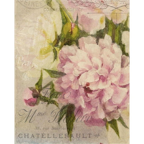 Summer Blooming Series A Black Modern Wood Framed Art Print with Double Matting by Kimberly, Allen