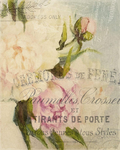 Summer Blooming Series B White Modern Wood Framed Art Print with Double Matting by Kimberly, Allen