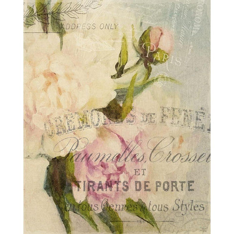 Summer Blooming Series B White Modern Wood Framed Art Print by Kimberly, Allen