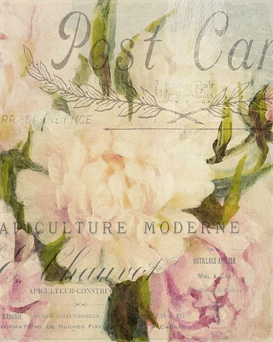 Summer Blooming Series C White Modern Wood Framed Art Print with Double Matting by Kimberly, Allen