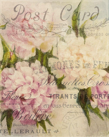 Summer Blooming Series D Black Ornate Wood Framed Art Print with Double Matting by Kimberly, Allen