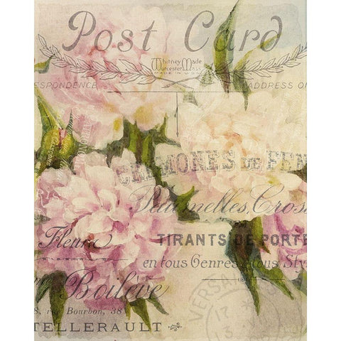 Summer Blooming Series D Black Modern Wood Framed Art Print with Double Matting by Kimberly, Allen