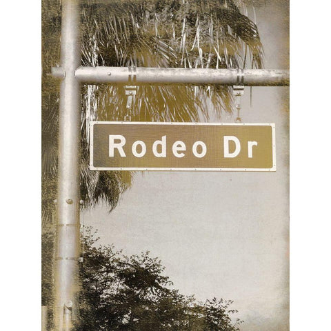 Rodeo Drive Black Modern Wood Framed Art Print with Double Matting by Kimberly, Allen