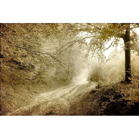 Autumn walk Black Modern Wood Framed Art Print with Double Matting by Kimberly, Allen