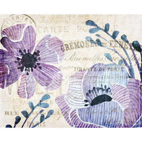 Soft Floral Purple 3 Black Modern Wood Framed Art Print with Double Matting by Kimberly, Allen