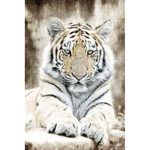 Concentration Gold Ornate Wood Framed Art Print with Double Matting by Kimberly, Allen