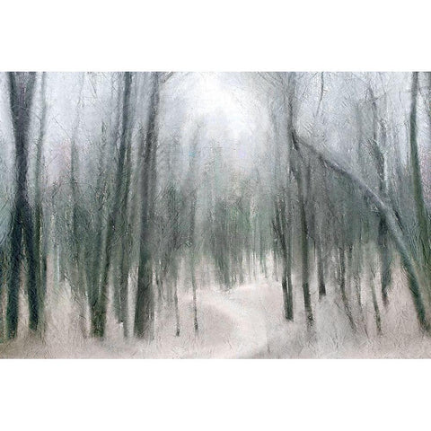 Shrouded Forest 1 Gold Ornate Wood Framed Art Print with Double Matting by Allen, Kimberly