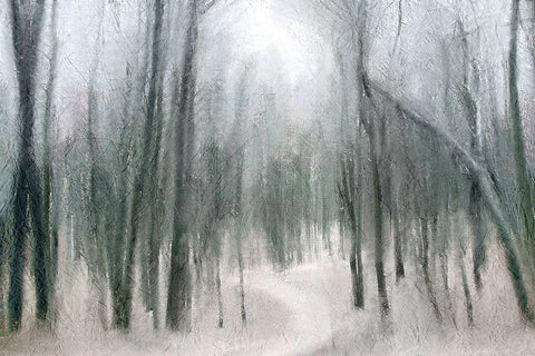 Shrouded Forest 1 Black Ornate Wood Framed Art Print with Double Matting by Allen, Kimberly