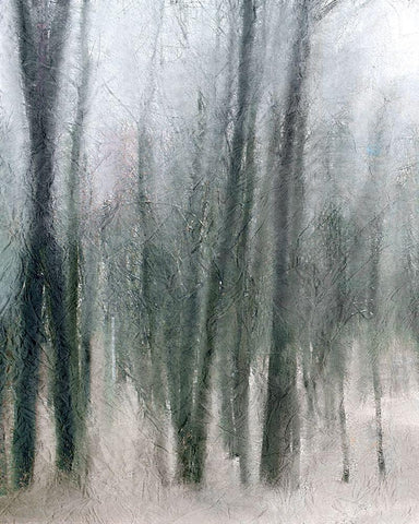 Shrouded Forest 2 Black Ornate Wood Framed Art Print with Double Matting by Allen, Kimberly