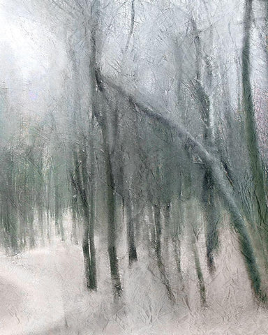 Shrouded Forest 3 Black Ornate Wood Framed Art Print with Double Matting by Allen, Kimberly