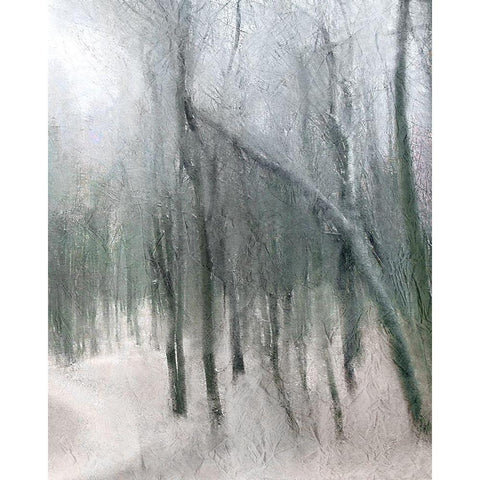 Shrouded Forest 3 Gold Ornate Wood Framed Art Print with Double Matting by Allen, Kimberly