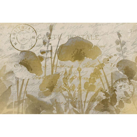 Golden Poppies Black Modern Wood Framed Art Print with Double Matting by Kimberly, Allen