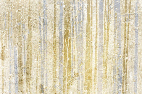 Gilded Forest White Modern Wood Framed Art Print with Double Matting by Kimberly, Allen