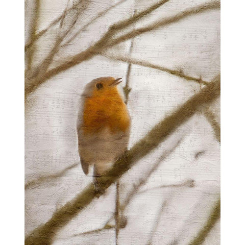Bird on a Branch 1 White Modern Wood Framed Art Print by Kimberly, Allen
