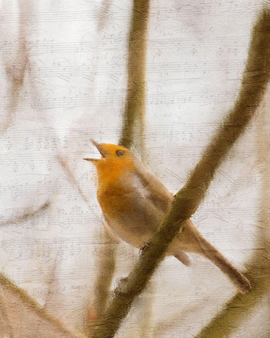 Bird on a Branch 2 White Modern Wood Framed Art Print with Double Matting by Kimberly, Allen