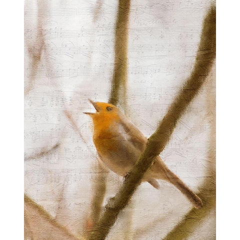 Bird on a Branch 2 Black Modern Wood Framed Art Print by Kimberly, Allen