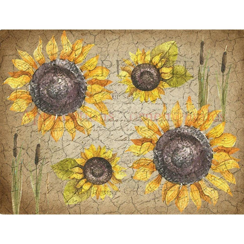 Sunflower Day Gold Ornate Wood Framed Art Print with Double Matting by Kimberly, Allen