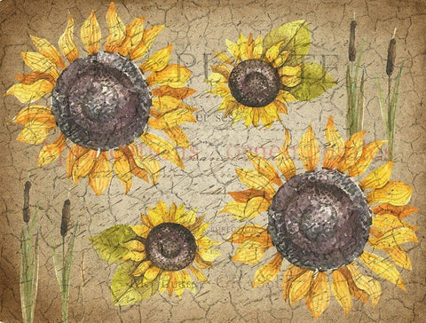 Sunflower Day White Modern Wood Framed Art Print with Double Matting by Kimberly, Allen