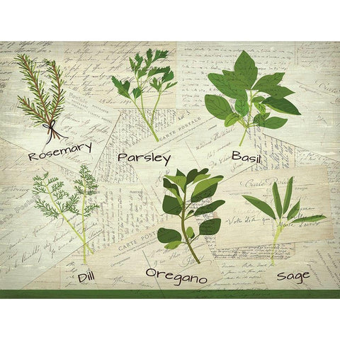 Fresh Herbs White Modern Wood Framed Art Print by Kimberly, Allen