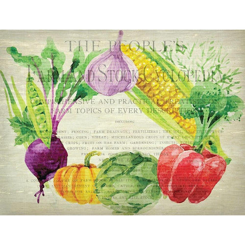 Fresh Veggies 1 Black Modern Wood Framed Art Print with Double Matting by Kimberly, Allen