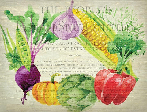 Fresh Veggies 1 Black Ornate Wood Framed Art Print with Double Matting by Kimberly, Allen