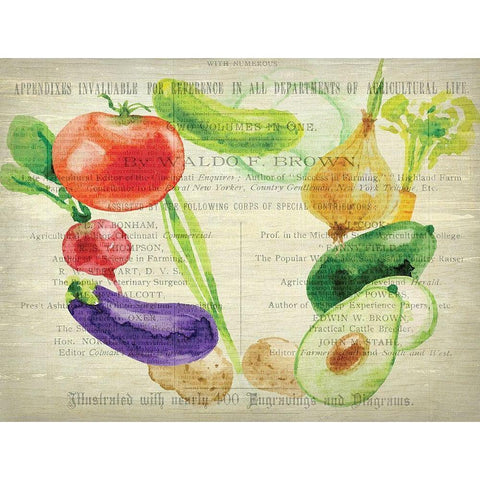 Fresh Veggies 2 Gold Ornate Wood Framed Art Print with Double Matting by Kimberly, Allen