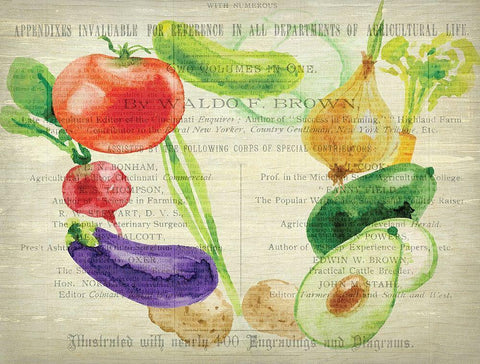 Fresh Veggies 2 Black Ornate Wood Framed Art Print with Double Matting by Kimberly, Allen