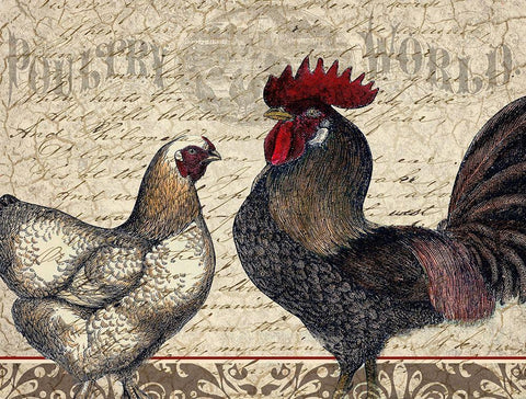 Poultry World White Modern Wood Framed Art Print with Double Matting by Kimberly, Allen