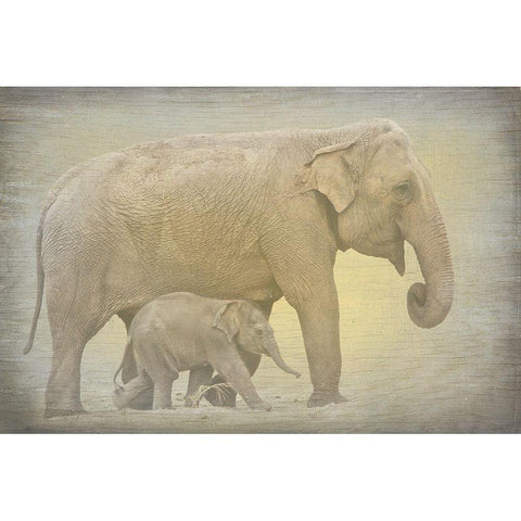 Side by Side White Modern Wood Framed Art Print by Kimberly, Allen