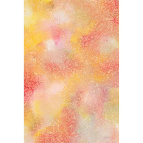 Sunburst of Orange Gold Ornate Wood Framed Art Print with Double Matting by Kimberly, Allen