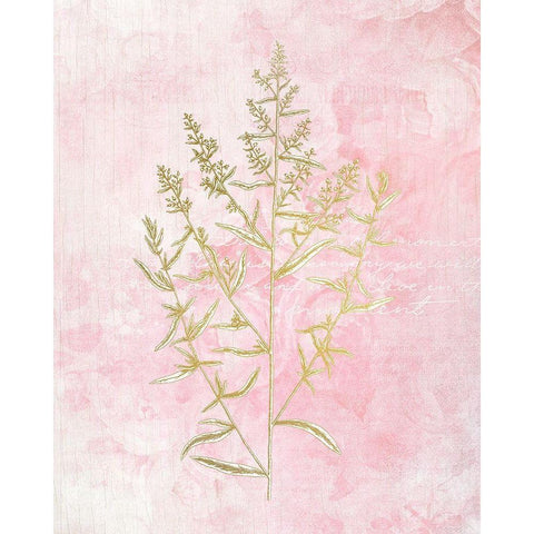 Botanical Pink 1 White Modern Wood Framed Art Print by Kimberly, Allen